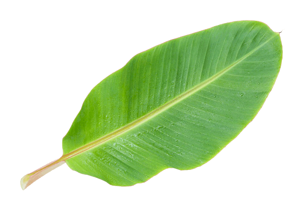 La llave verde