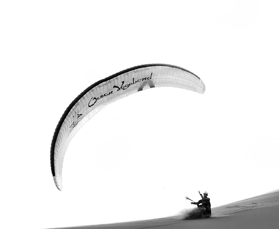 Professional paraglider