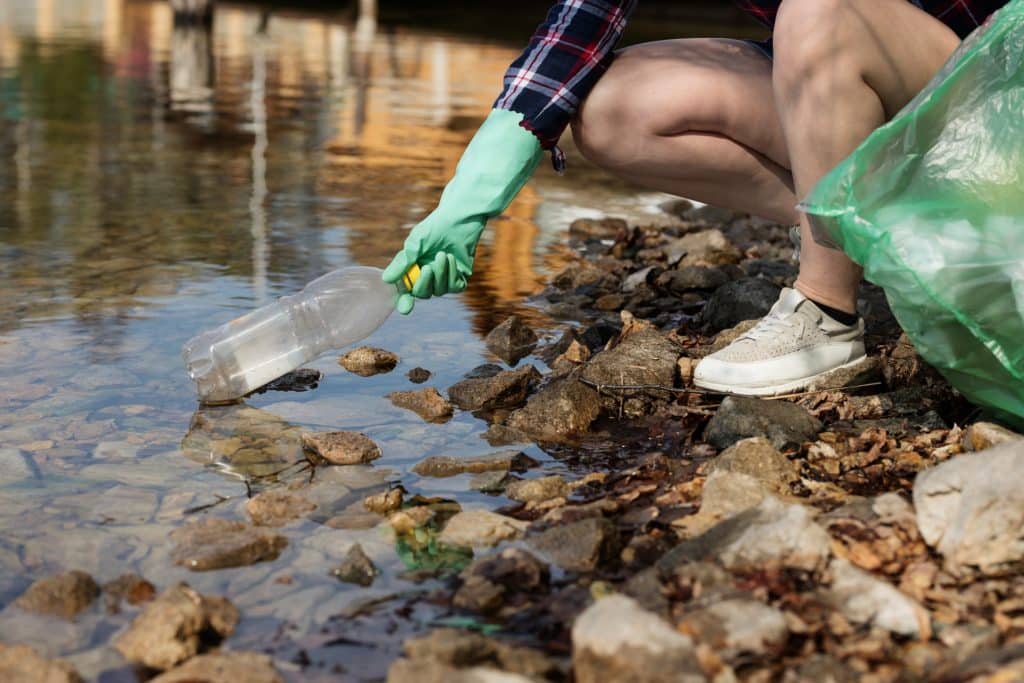 beach cleaning