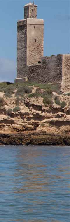 Surf Essaouira