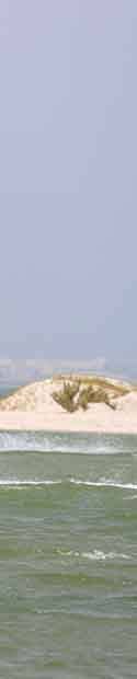 Drachen Dakhla
