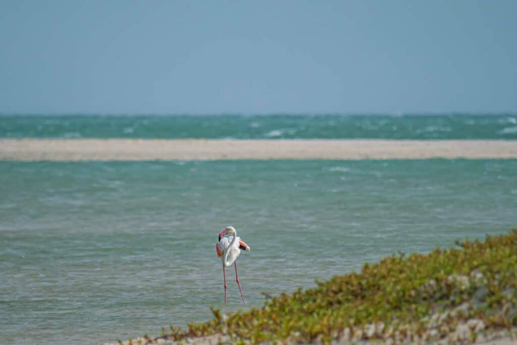 DAKHLA-Lagune