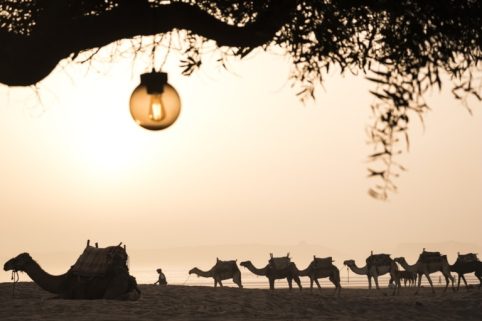 Essaouira Maroc