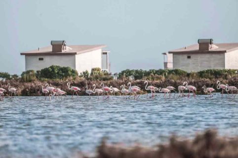 Logement Dakhla