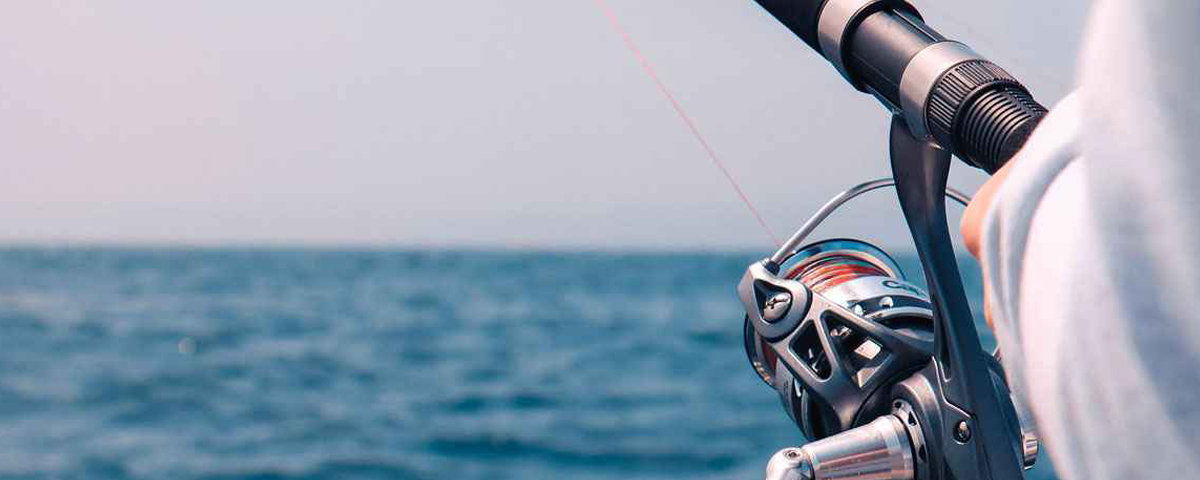 Pesca en Dakhla